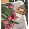 Floral – Arte 01 «Tulipanes»